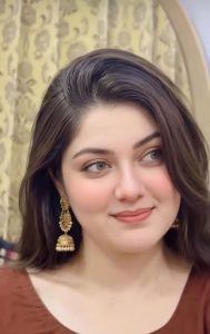 VIP Model Escorts Agency